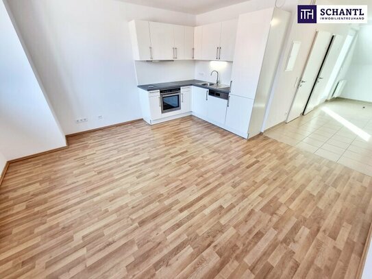 Reduzierter Preis! Charmante DG-Maisonettewohnung mit 2,5 Zimmer und Terrasse + Ideale Infrastruktur + Wunderschön sani…