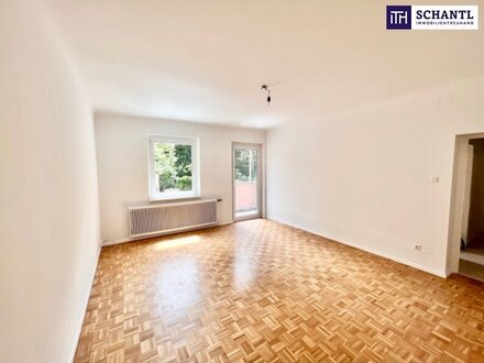 ++ HUGO-WOLF-PARK-BLICK + Befristet vermietete Traumwohnung in begehrter Lage + Balkon mit Park-Blick + WG-geeignet