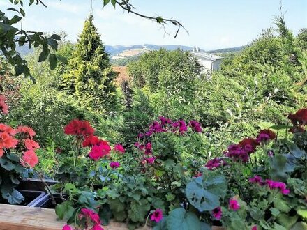 Baugrund am ÖLBERG - KLOSTERNEUBURG - Ruhelage - Fernblick