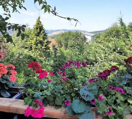 Baugrund am ÖLBERG - KLOSTERNEUBURG - Ruhelage - Fernblick