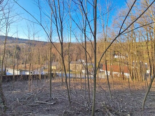 Sonniges Baugrundstück auf Südwest-Hang im Irenental