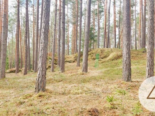 Waldbauer gesucht!