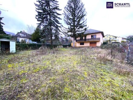 Bastler-Hit: Sanierungsbedürftiges Einfamilienhaus in absoluter Ruhelage in Zentrumsnähe zu verkaufen!