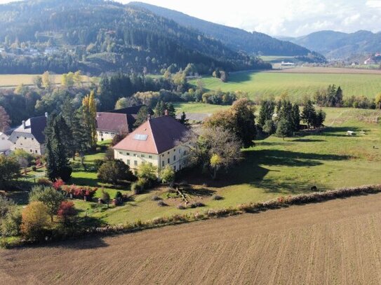 Österreich/Kärnten:Historischer Gutshof / Herrenhaus / Mansion in Kärnten Österreich!