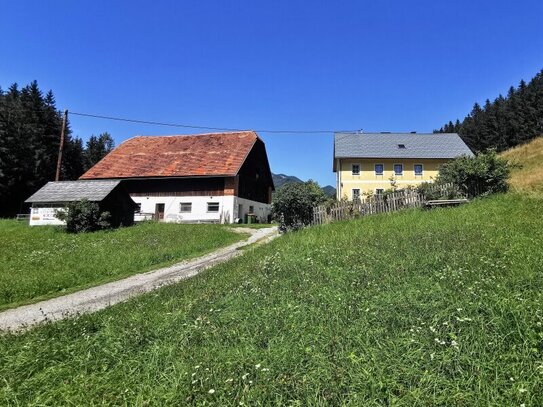 Bauernhof - 27.500m² Hofstelle mit umliegenden Wiesenflächen und Wald