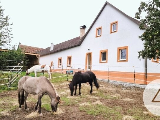 Zuhause zum Träumen!