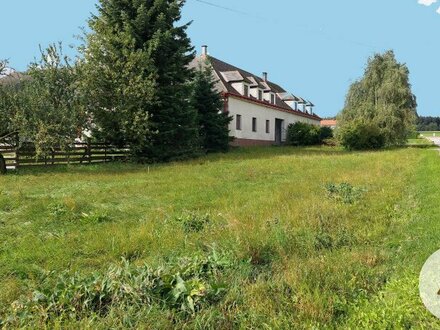 Hofmühle zu verkaufen - Bauernhaus mit viel Grund!