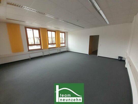 Großes Büro mit Wintergarten und Terrasse auf 2 Ebenen nahe Traisenpark! JETZT ANFRAGEN - JETZT ANFRAGEN