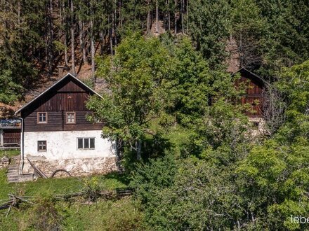 Almhaus in absoluter Ruhelage im Nationalpark Hohe Tauern.