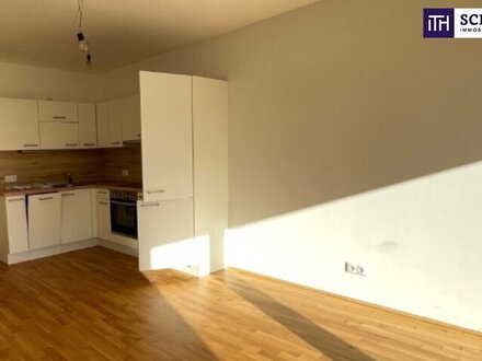 Hier ist für jeden die passende Wohnung dabei - Traumprojekt in Wiener Neustadt! Verlieben Sie sich jeden Tag auf´s Neu…