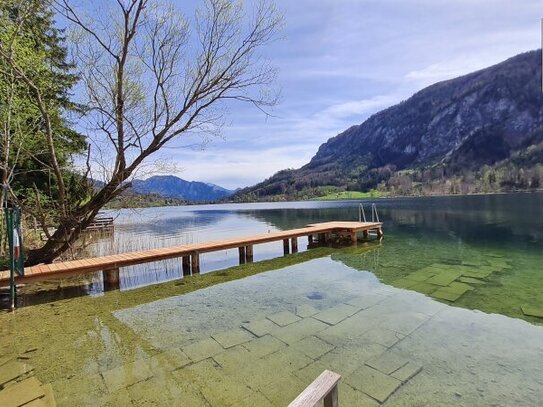 Grundstück auf ehemaligem Campingareal mit direktem Seezugang am Mondsee zu verkaufen