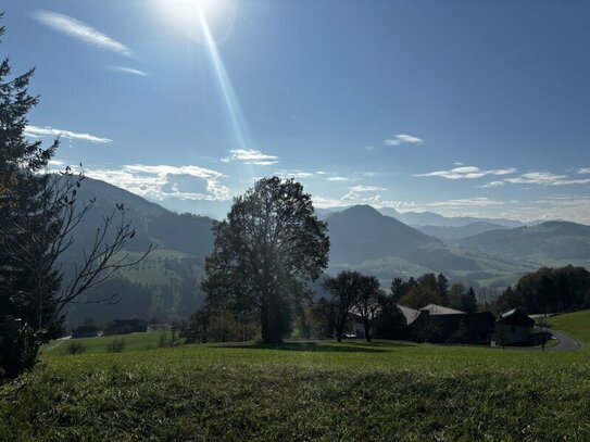 Traumhaftes Grundstück mit Hütte in Zehetner – inkl. Bauplan für Einfamilienhaus