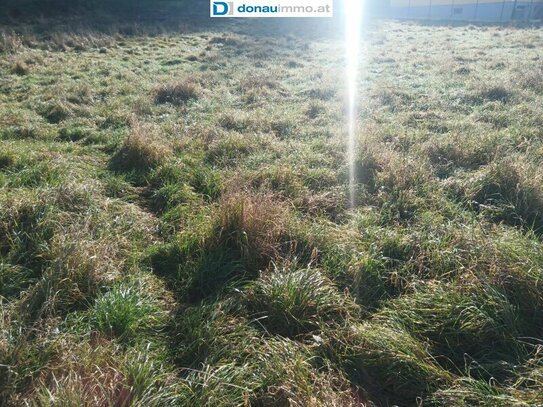 Zentral liegendes, ebenes, sonniges Grundstück mit viel Potenzial in Ragnitz