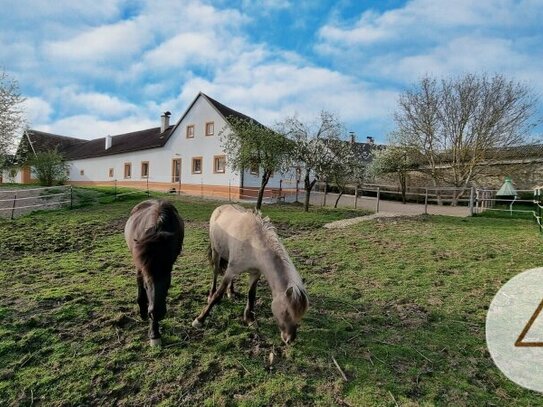 PROVISIONSFREI-Generalsanierter 4-Kanter für Pferdehaltung, 3 Hektar