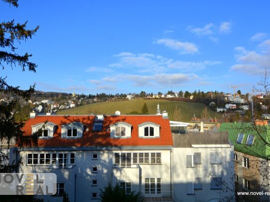 DORNBACH - TERRASSENWOHNUNG MIT SAUNA UND GARAGE