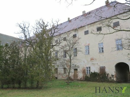 Historisches Arkaden-Schloss in Rabensburg mit großem Anwesen