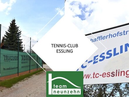 JUNK MODERN LIVING! Exklusive Häuser bei der Seestadt. - WOHNTRAUM
