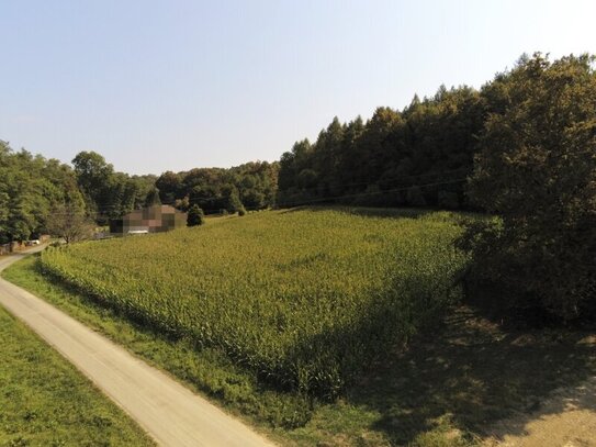 Großzügiges 4.069m² großes, sonniges Baugrundstück