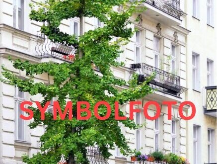 Apartment Haus HOTEL - Kurzzeitmieten, AirBnB, Coworking Space