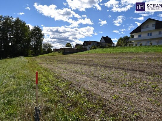 Ihr Traumhaus wird Wirklichkeit: Idyllisches Baugrundstück in Bad Gams mit sonniger Südausrichtung, allen Anschlüssen u…