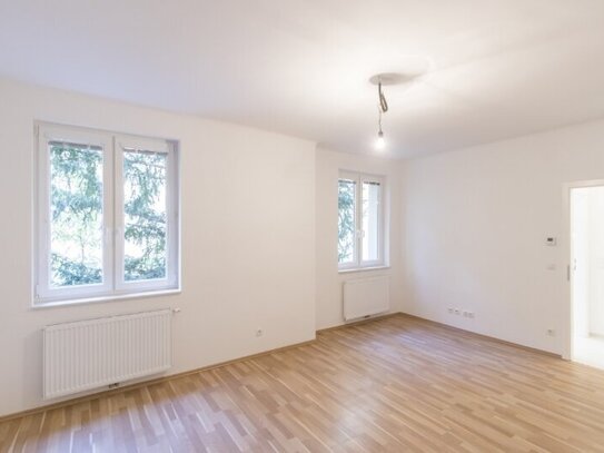 Ab Februar! Singlehit! 1-Zimmer-Wohnung nahe Mariahilfer Straße!