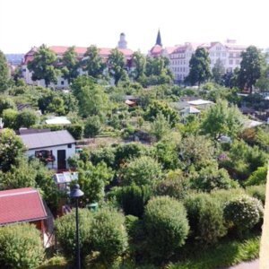 Lichtdurchflutete 2-Raumwohnung in Dresden-Striesen mit Blick ins Grüne & Südbalkon sucht Dich!