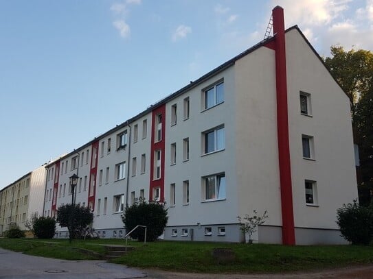 2 Raum Wohnung in Franzburg