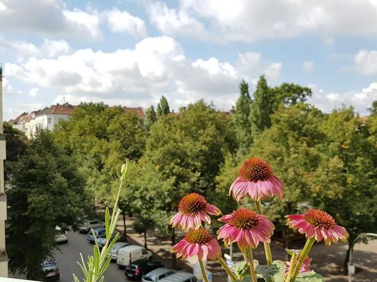 Gärtnerstraße, Berlin