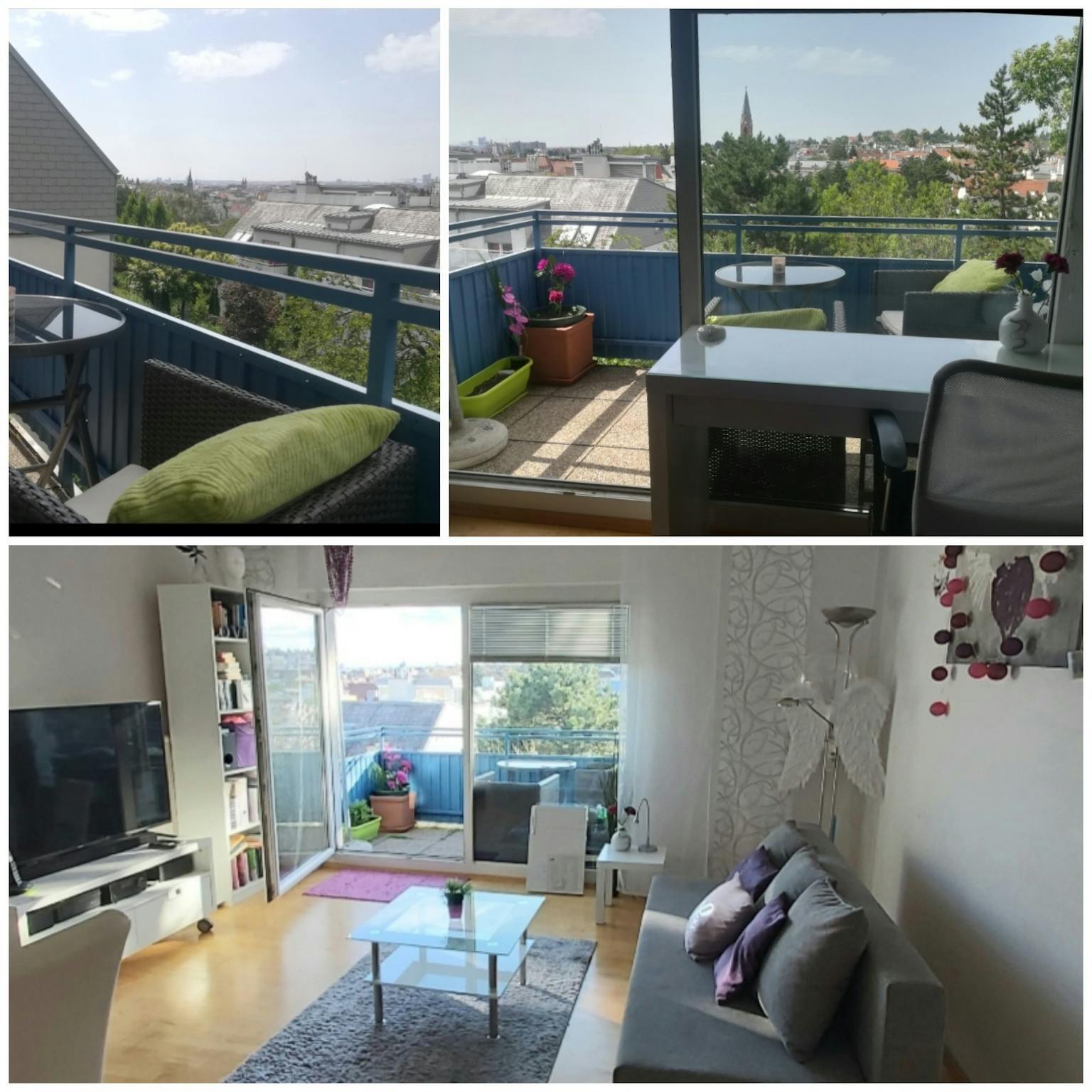                                                               Peter-Jordan-Stra&szlig;e, Vienna                                                       in Peter (Würzburg)