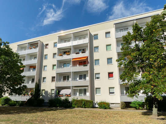 Sanierte 3-Raum Wohnung mit Dusche in zentraler Lage