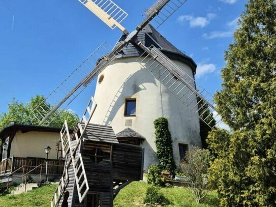 Liebhaberstück: Sanierte Holländer- Windmühle in Dresden mit fortlaufendem Restaurantbetrieb