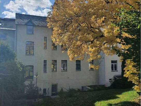 schöne helle 2 Raumwohnung in Treuen