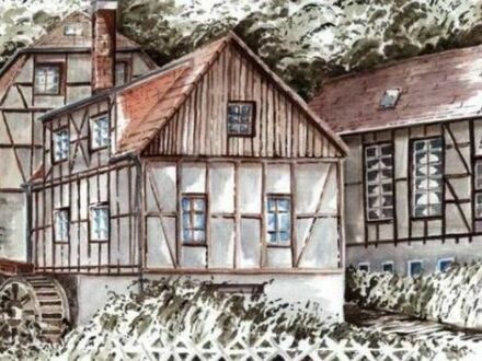Historisches Juwel in Grimma ...Traumhaftes Mühlenanwesen mit Zukunftsvision