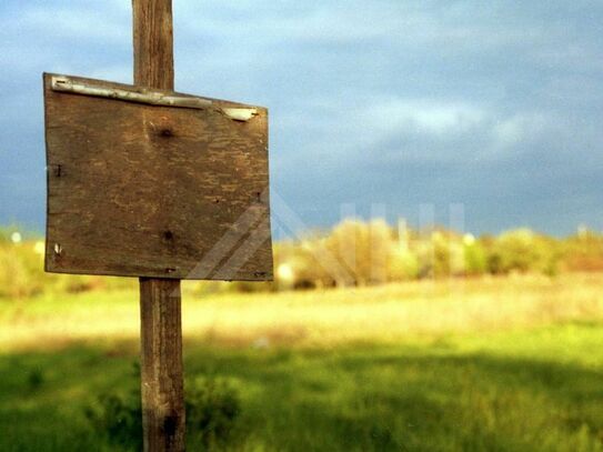 Wiese soweit das Auge reicht ... Ackerland im Herzen Sachsens