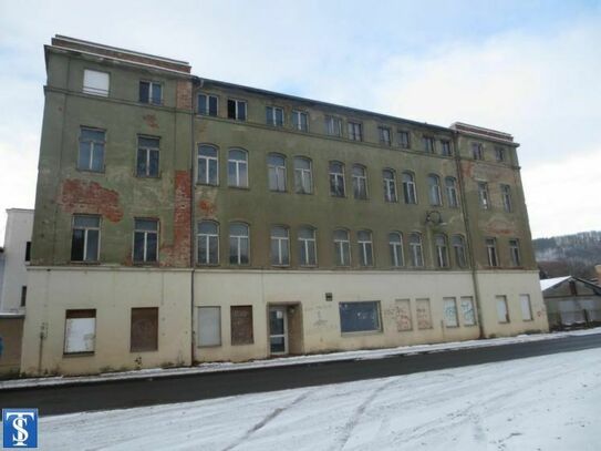 Fabrikgebäude wartet auf Sanierung - ideal als Bürogebäude / Pflegeheim / WGH - in Berga-Elster Landkreis Greiz
