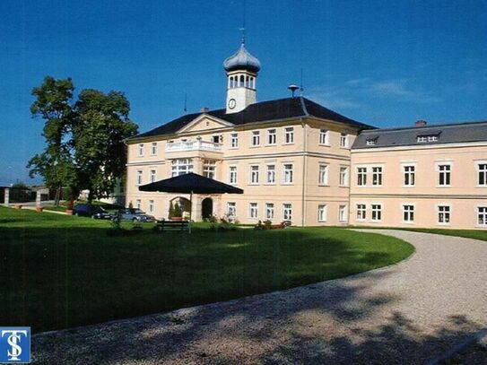 Werden Sie stolzer Schlossbesitzer - Rittergut Untermarxgrün in Oelsnitz - Machen Sie uns ein faires Angebot!