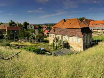 Wildberg - Denkmalgeschütztes, sanierungsbedürftiges Herrenhaus mit ca. 4.600 m² Grundstück