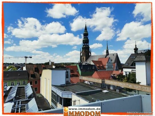 3-Zimmer-Maisonetten-Wohnung im Herzen von Zwickau mit großer Dachterrasse und EINBAUKÜCHE zu vermieten!
