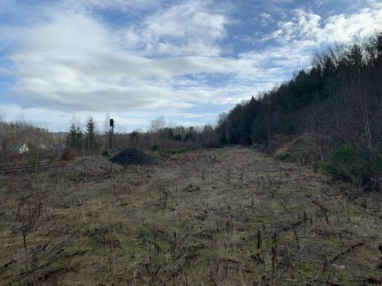 gewerbliches Grundstückspaket – 38222m² - am Bhf./Bahngleisen