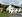 Raubach: Einfamilienhaus mit Scheune und großem Grundstück in Oberzent/OT zu verkaufen