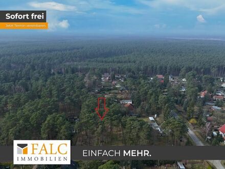 Bauträgerfrei!! 1296 m² großes Bauland in Borkheide