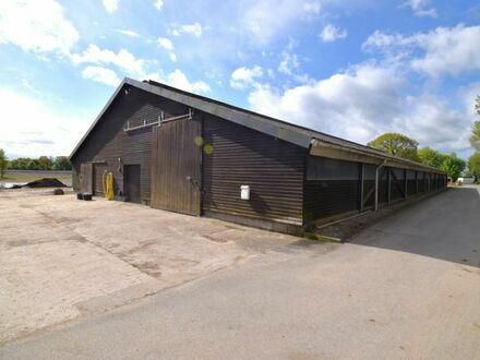 Hallenfläche / Lagerhalle in Elsdorf-Westermühlen nahe Rendsburg