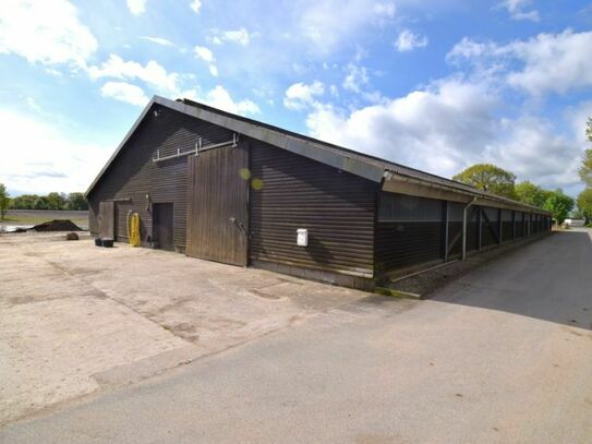 Hallenfläche / Lagerhalle in Elsdorf-Westermühlen nahe Rendsburg