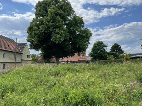 Baugrundstück für ein Wohngebäude oder Gewerbegebäude in Lützen