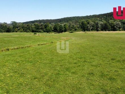 WINDISCH IMMOBILIEN - Bauträger aufgepasst: Grundstück als Ausgleichsfläche für Bauvorhaben in FFB!