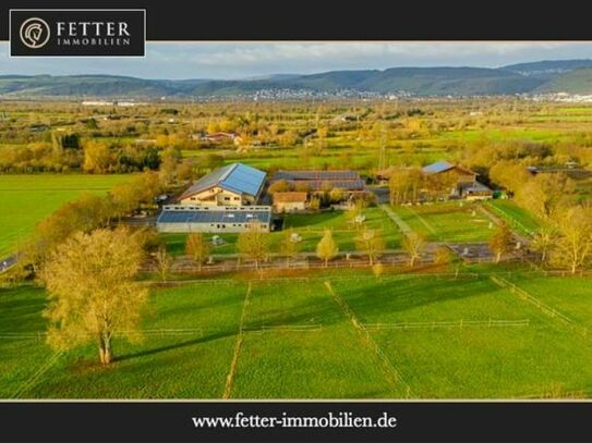 ✅Einzigartiges Rehazentrum mit Pferdeschwimmbad zu verkaufen