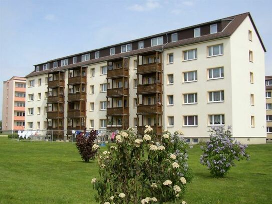 Geräumige Dreiraumwohnung mit Balkon