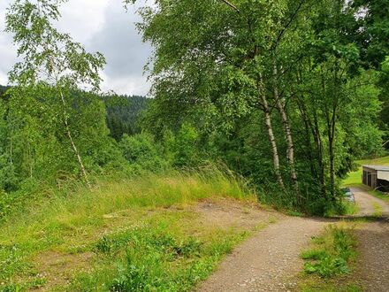 Bewaldete Böschung in Bockau