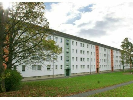 3-Zimmer Mietwohnung in Plauen (08529) 59m²