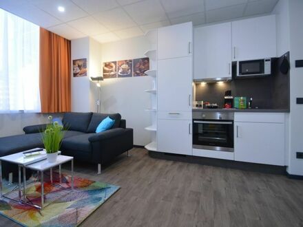 Großzügiges 1-Zimmer-Apartment, möbliert & ausgestattet, zentral in Offenbach